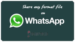 share any file on whatsapp
